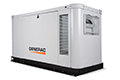 32 Kilowatt (kW) Power Commercial Gas Generator